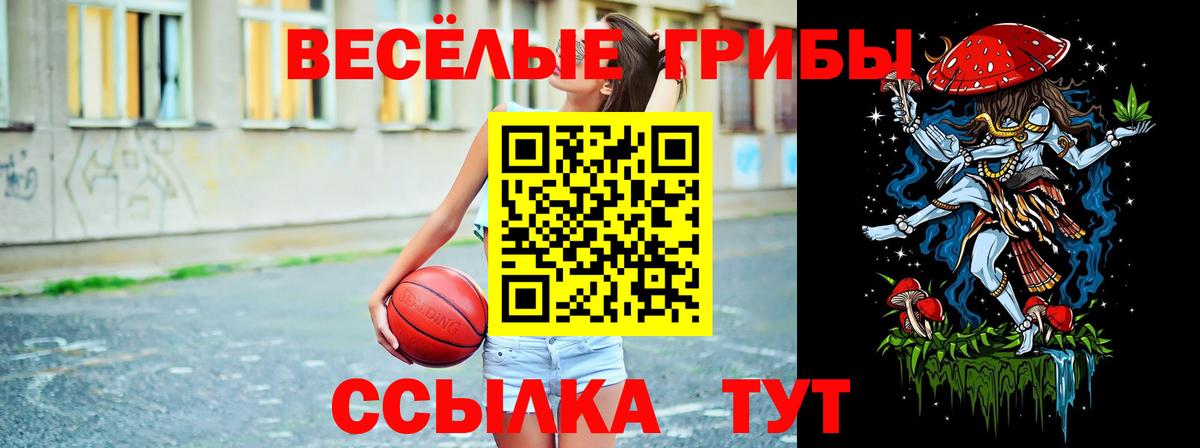 Галлюциногенные грибы прущие грибы  Псилоцибиновые грибы прущие грибы  Вход с VPN  Электросталь 